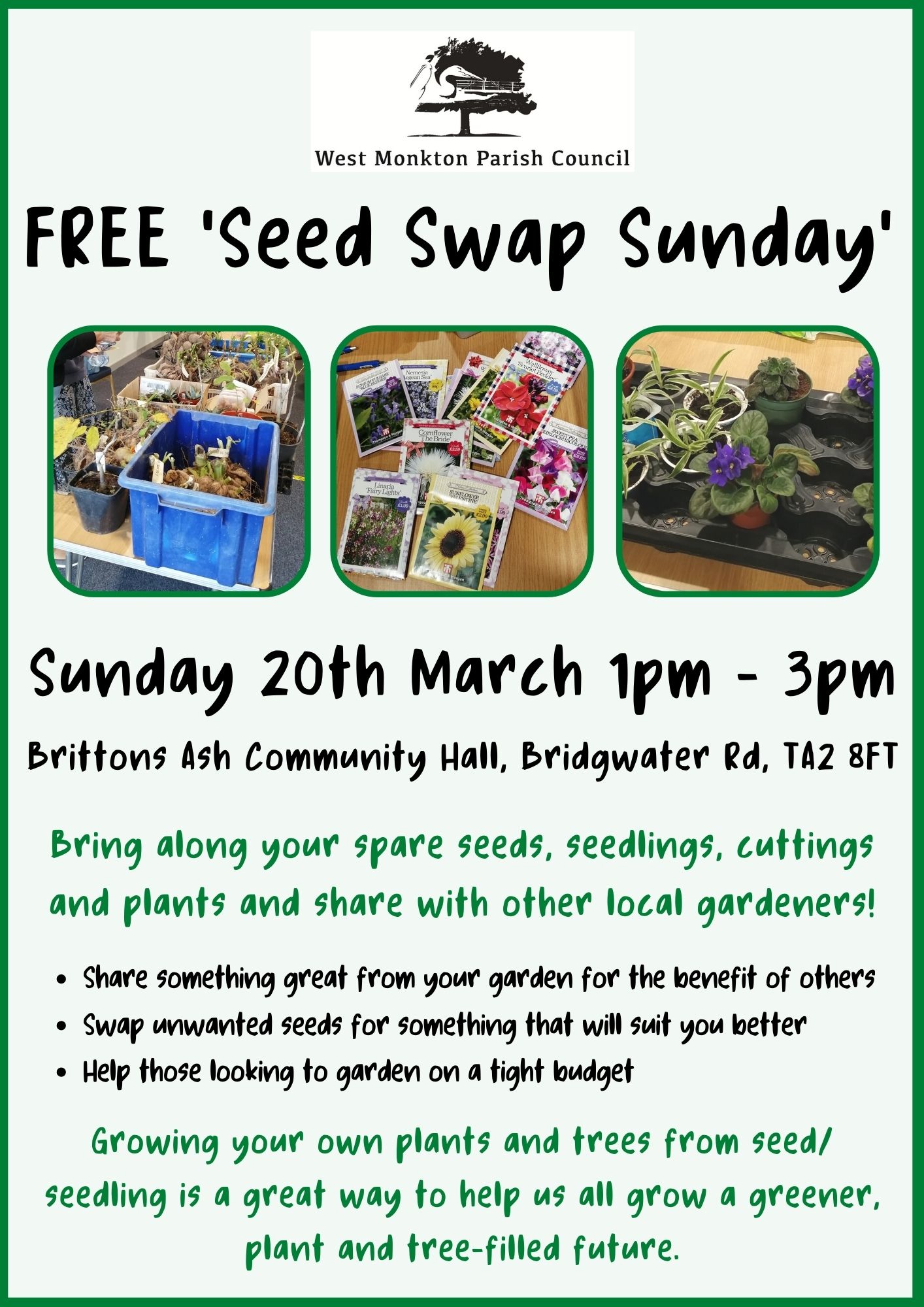 Seed Swap Sunday 20 03 22