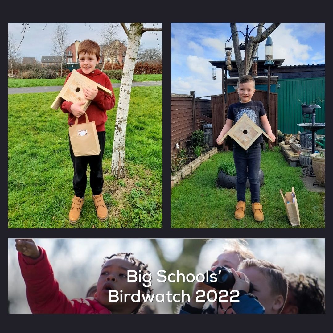 RSPB winners montage