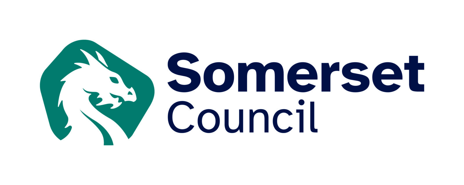 Somerset Council logo Horizontal 002 min