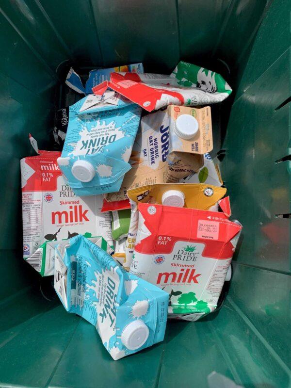 cartons1 (002)
