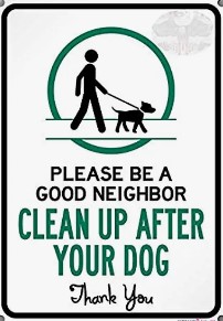 pickupdog