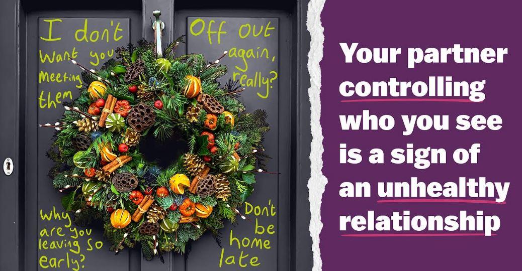 Somerset Council - Domestic Abuse