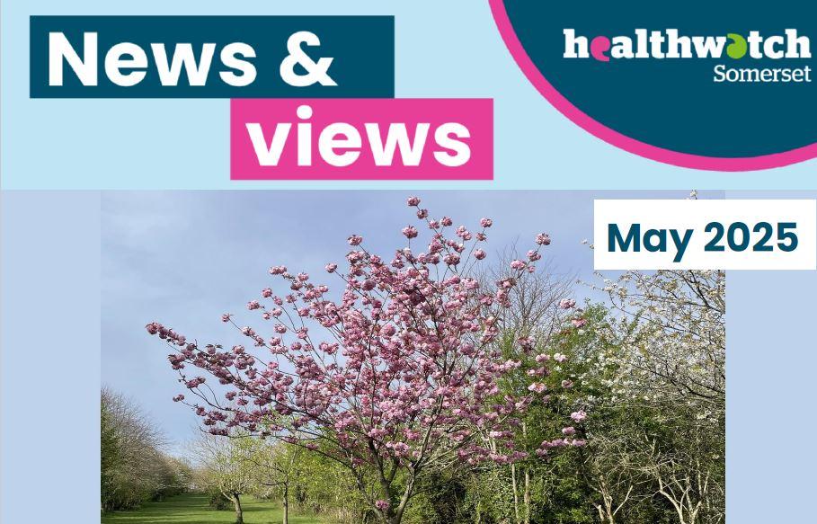 Healthwatch Somerset May Newsletter 2025