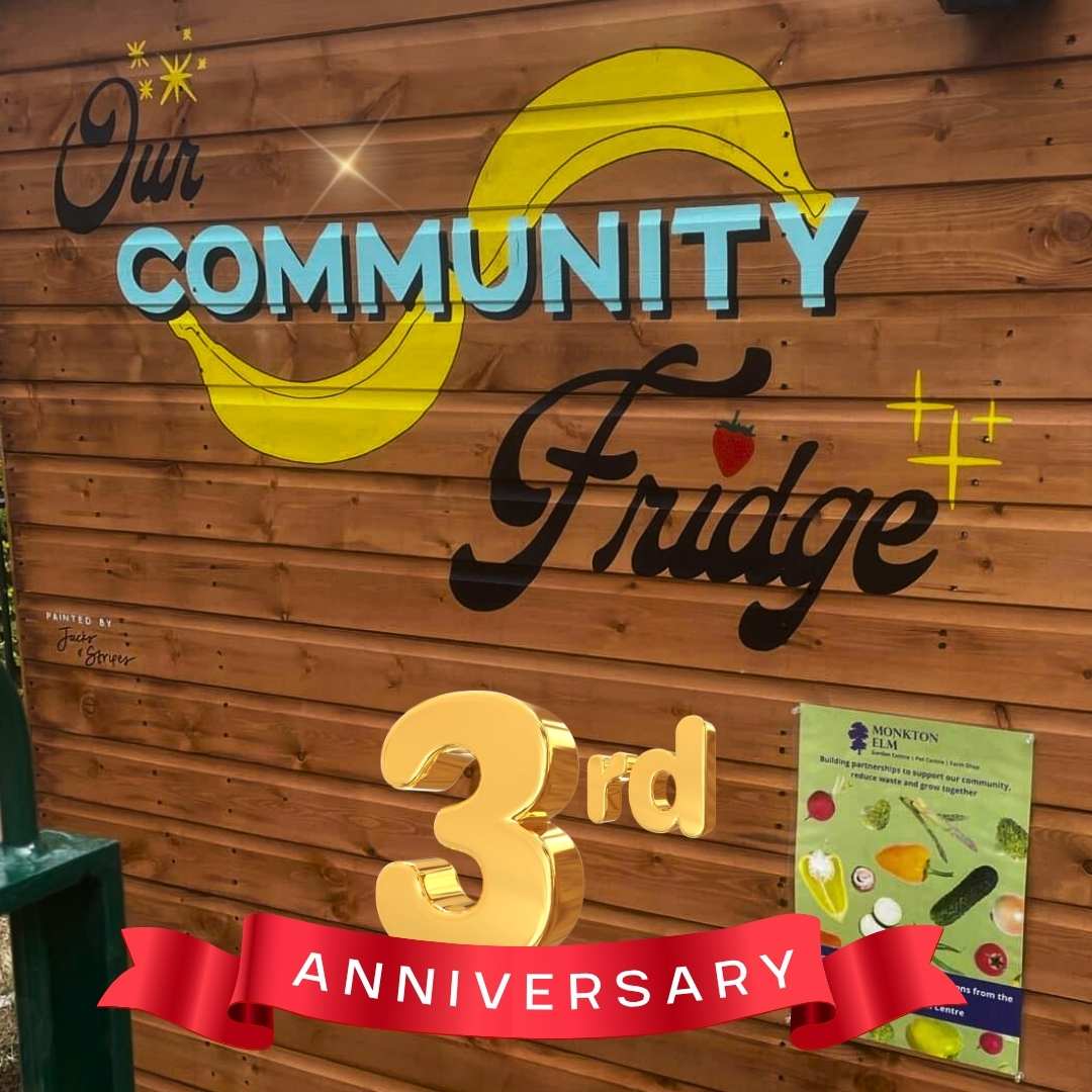 fridge 3rd anniversary