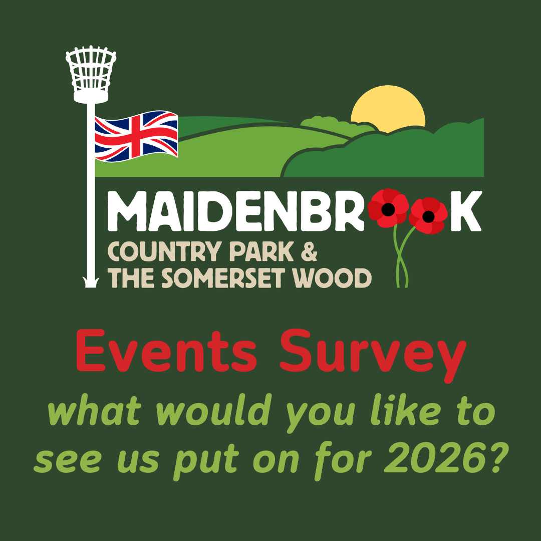 Events Survey MBCP