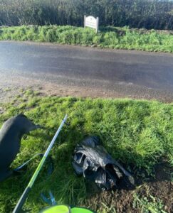 Asya litterpicking