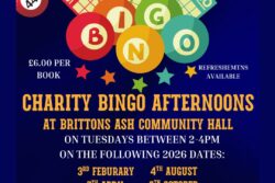 Bingo 2026