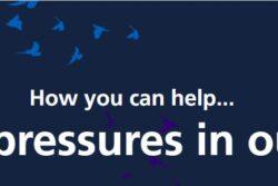 Winter pressures in our trust
