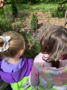 Community Gardening with Mr Brown3