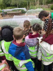 Community Gardening with Mr Brown5