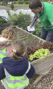 Community Gardening with Mr Brown6